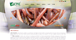 Desktop Screenshot of akmesolidem.com